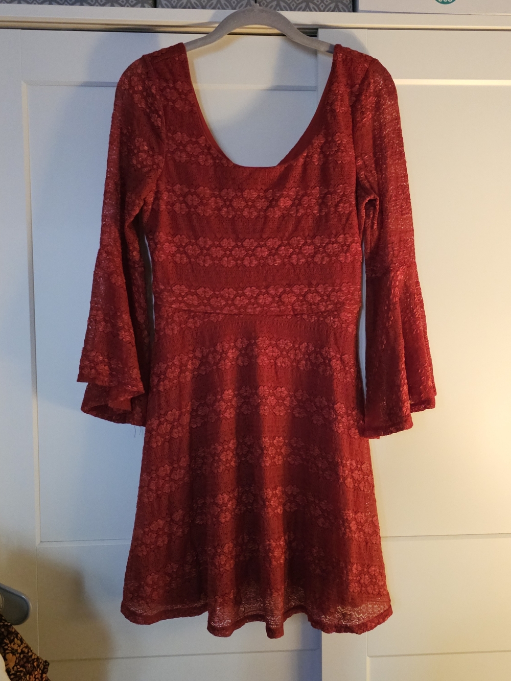 (C)2009 Fit & Flare Lace Dress